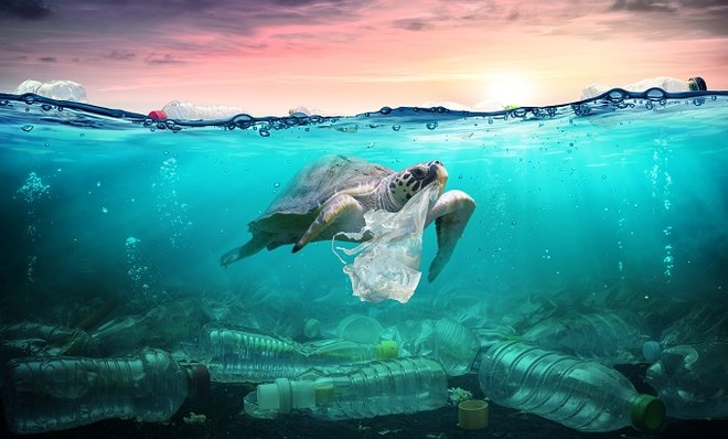 Plastik in den Meeren: Umfrage zeigt, wie wichtig das Umweltthema den Menschen auf 5 Kontinenten ist